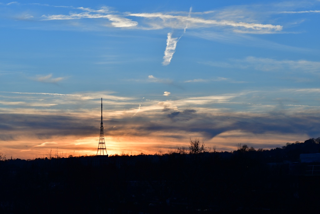 London/Forest Hill/DSC_8118.JPG